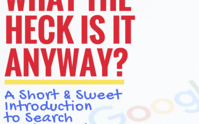 WHAT THE HECK IS IT ANYWAY? A Short And Sweet Introduction To Search Engine Logic